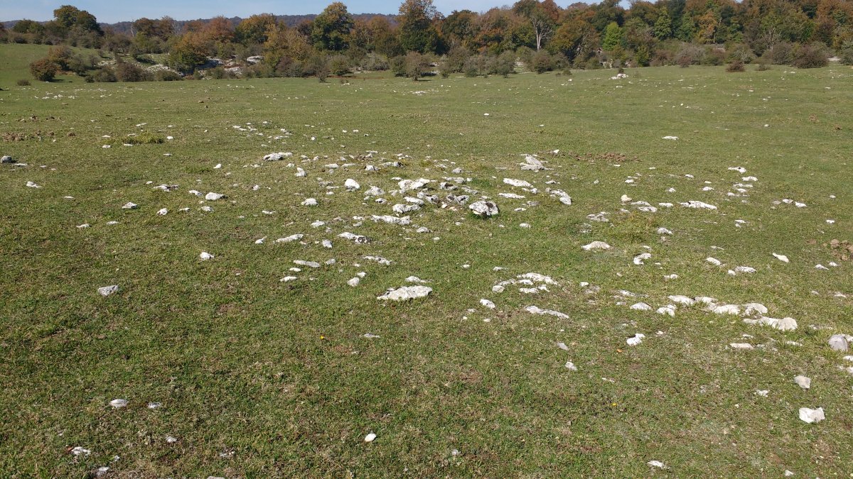 Ezkitzako Gurutzea tumuloa (2017)