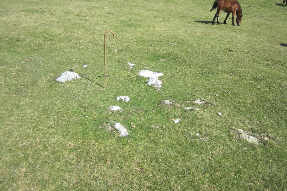 Cromlech Olamuño Sur (Septiembre 2017)