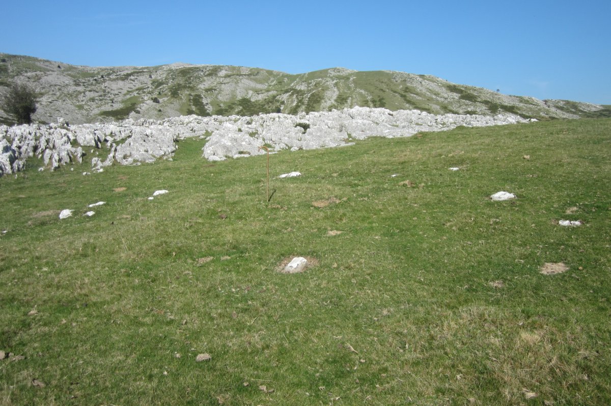 Cromlech Igaratza V  (Septiembre 2017)