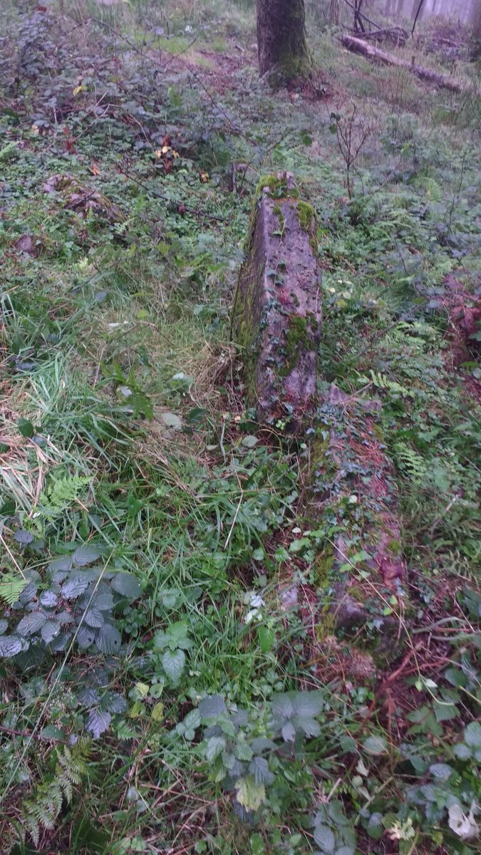 Matxitxane trikuharria 2