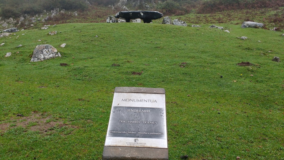 Jentilarri trikuharria (2017)