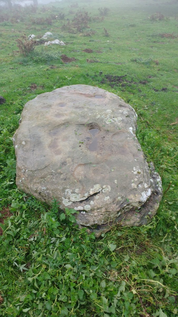 Jentilarri zutarria 3