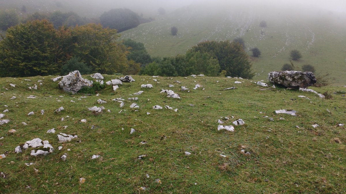 Uidui I Ek. trikuharria 2