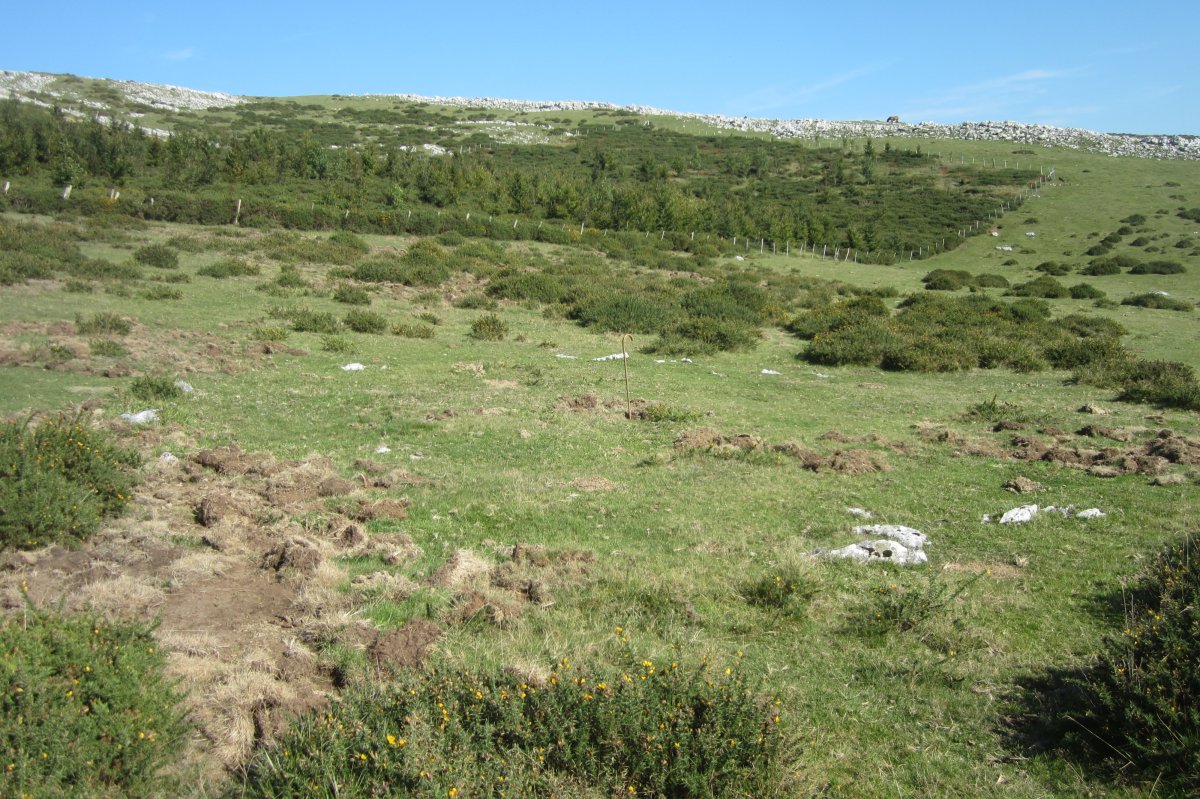 Cromlech Gorostiaga (Septiembre 2017)