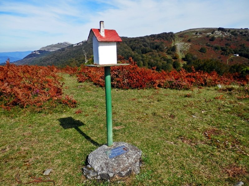 Buzoia. Atzean, Bizkarlatza