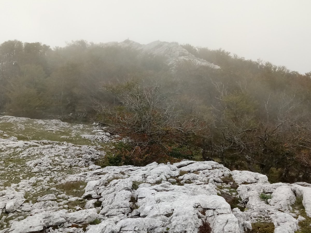 Burgalaitz (1280m) mendia
