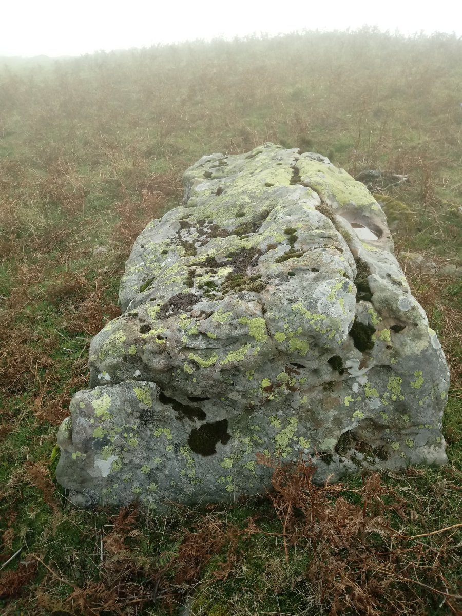 Malkorra zutarria (2017)