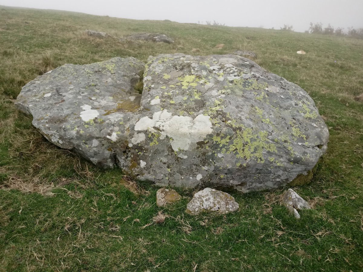 Pinpil I zutarria (2017)