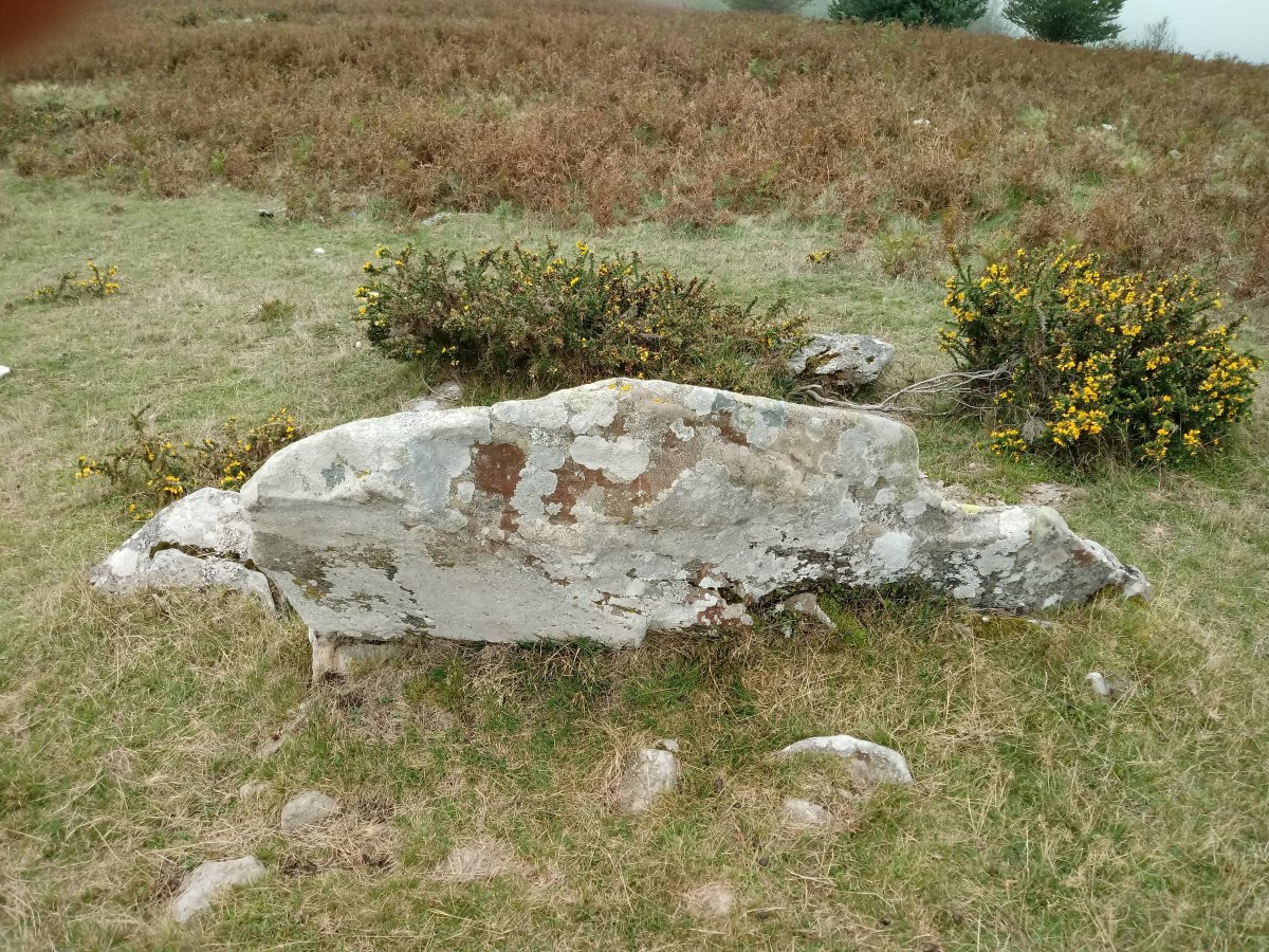 Pinpil II zutarria 3