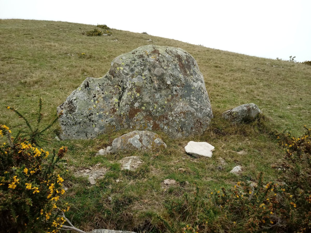 Pinpil II zutarria (2017)