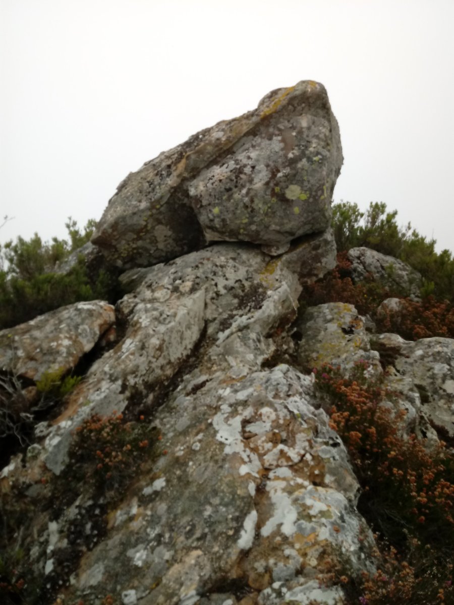 Aspoarri zutarria (2017)