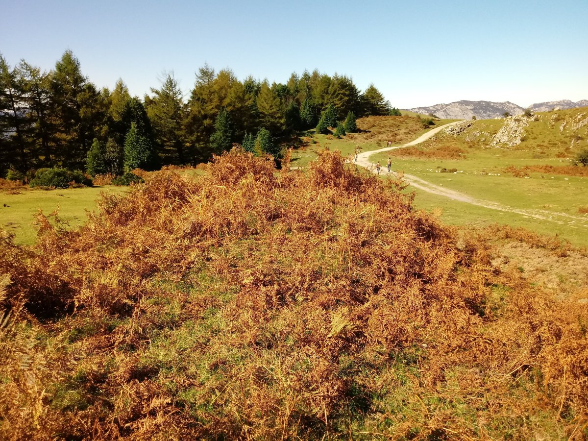 Anbotopeko tumulua 2