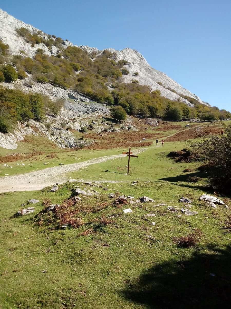 Pagazabal Ek. tumuloa (2017)