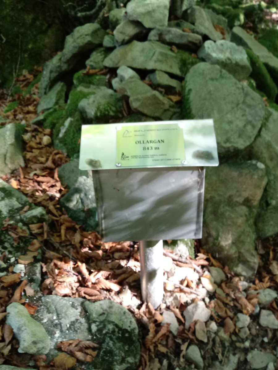 Ollargan (843m) tontorreko postontzia