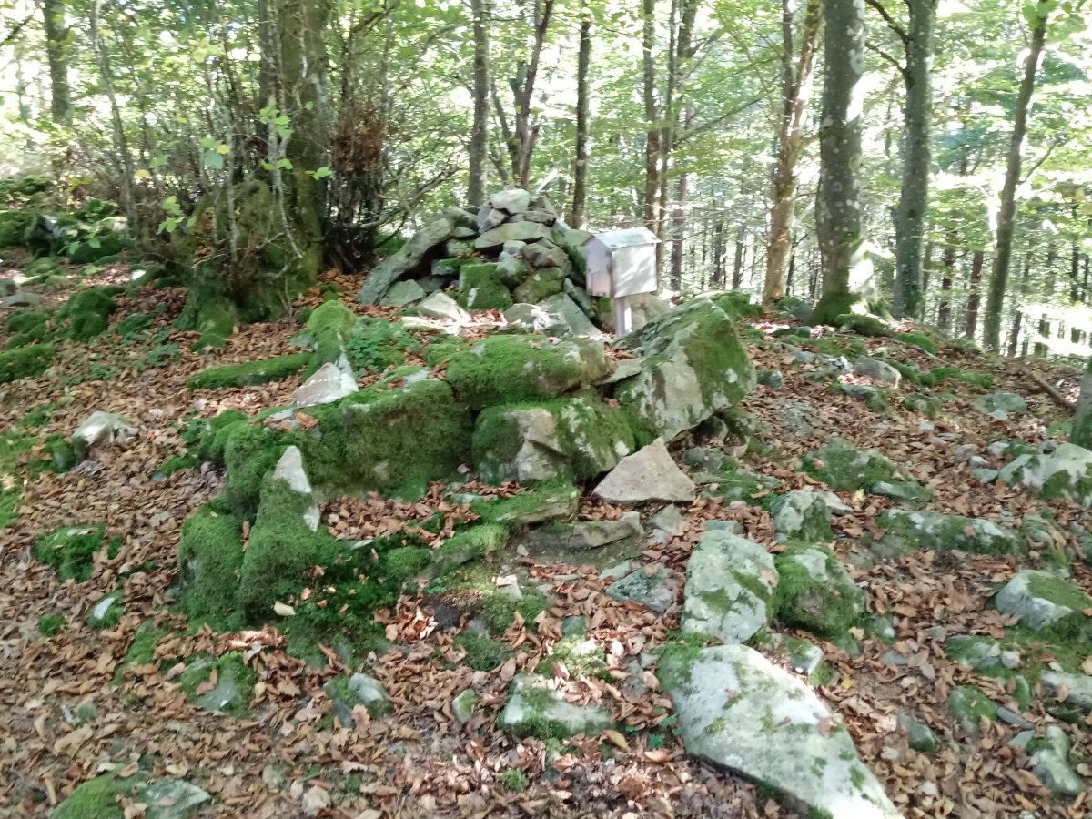 Ollargan (843m) tontorra