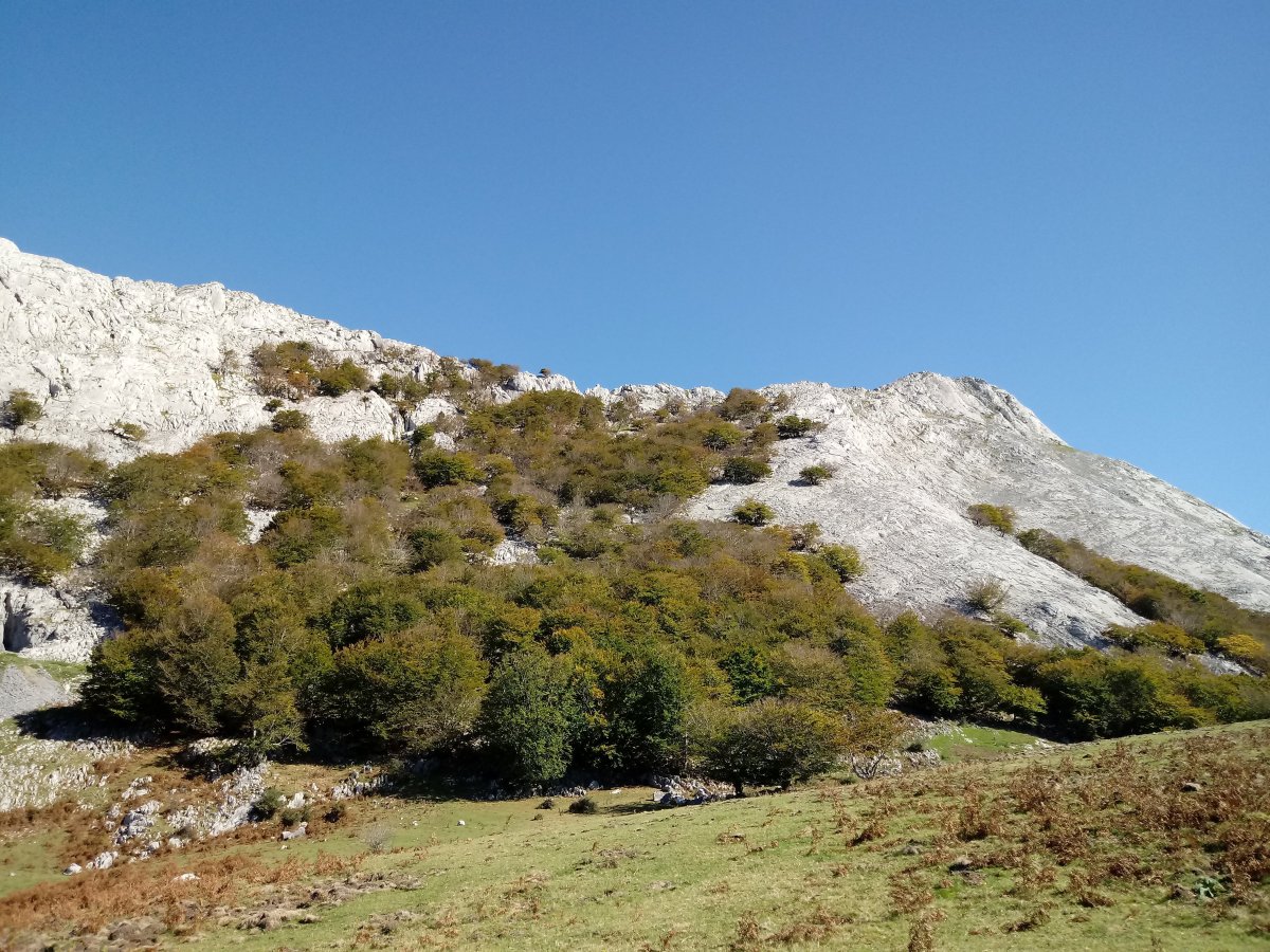 Anbotorako igoera bidea