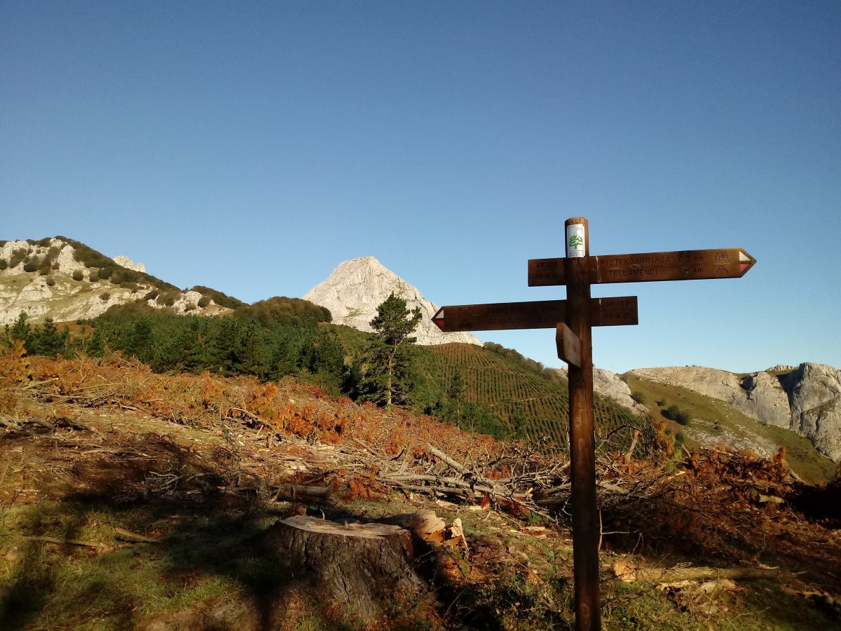 Zabalandira bidean Gantzaga gainean