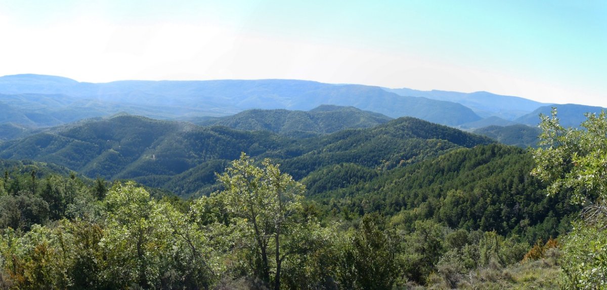 Monitas eta inguruko gainak Orlagatutik