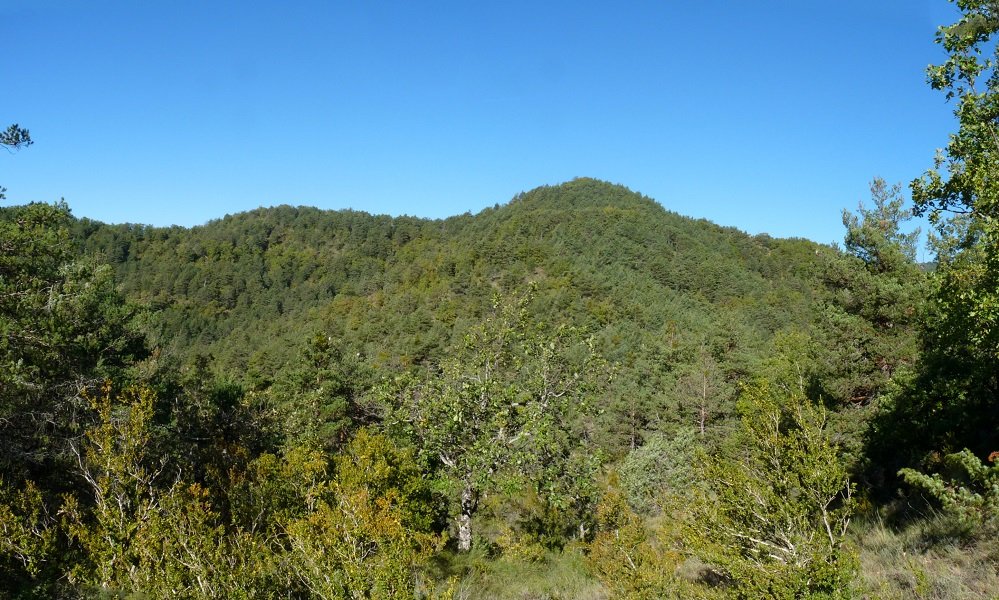 Monitas ekialdeko aldea