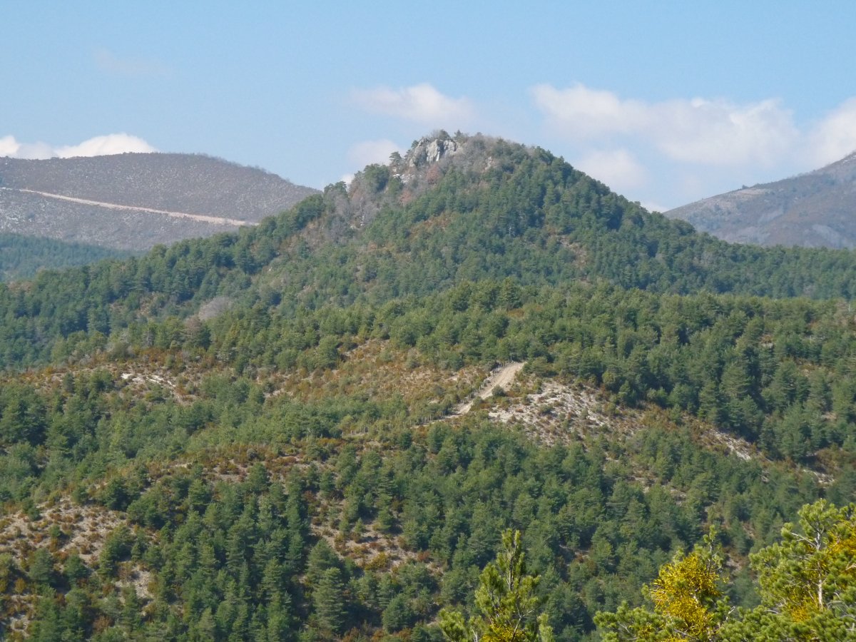 Artxutako harriak hegoaldetik