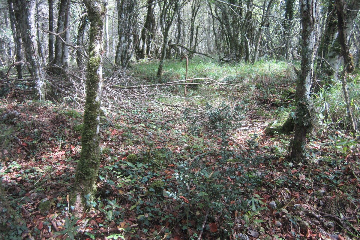 Túmulo Artabakar  (Octubre 2017)