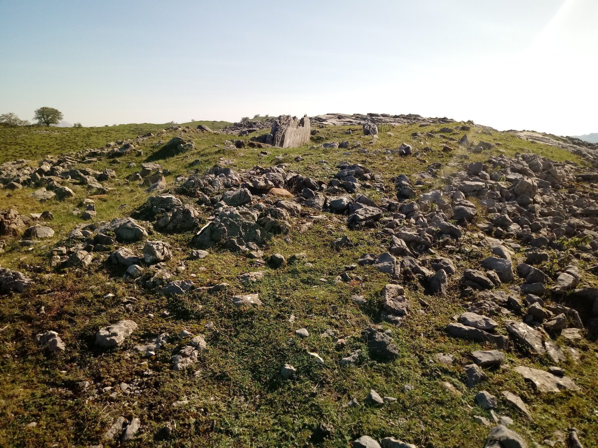 Errekatxuetako Atxa trikuharria 2