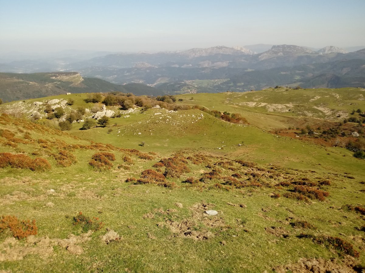 Aldaminape eta Arimegorta