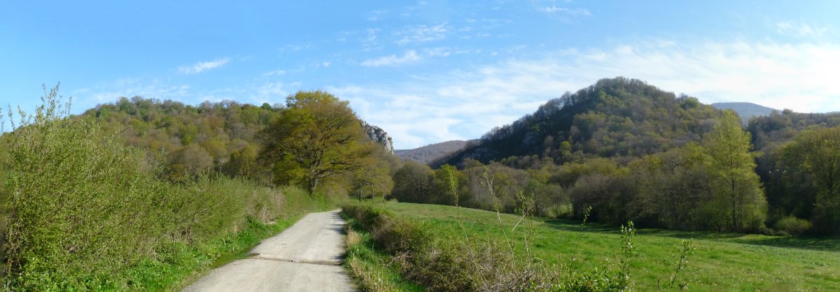 Abauntz eta Aritzalde mendiak Arraitzko bidetik