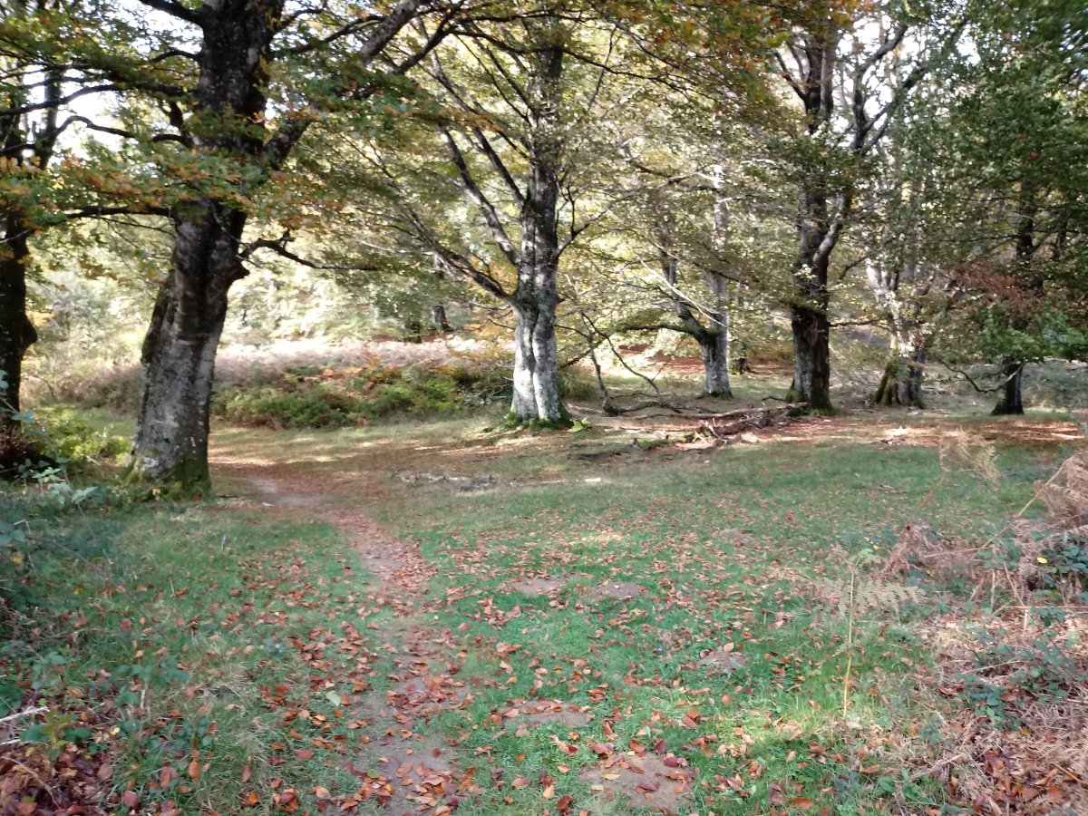 GR12 bideska Alleko aldean