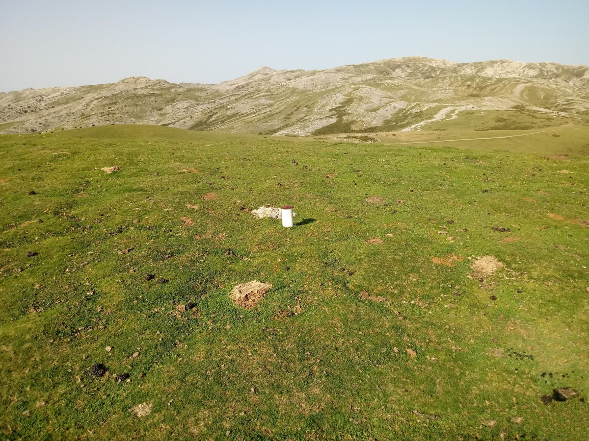 Errenaga (1287m) gaina