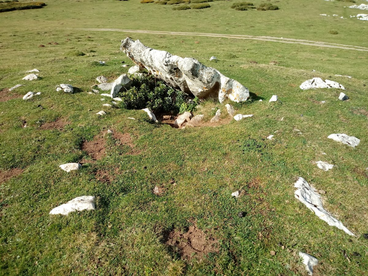 Obioneta Iparra trikuharria 2