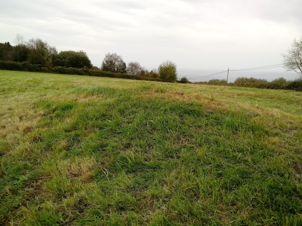 Iturrieta trikuharria