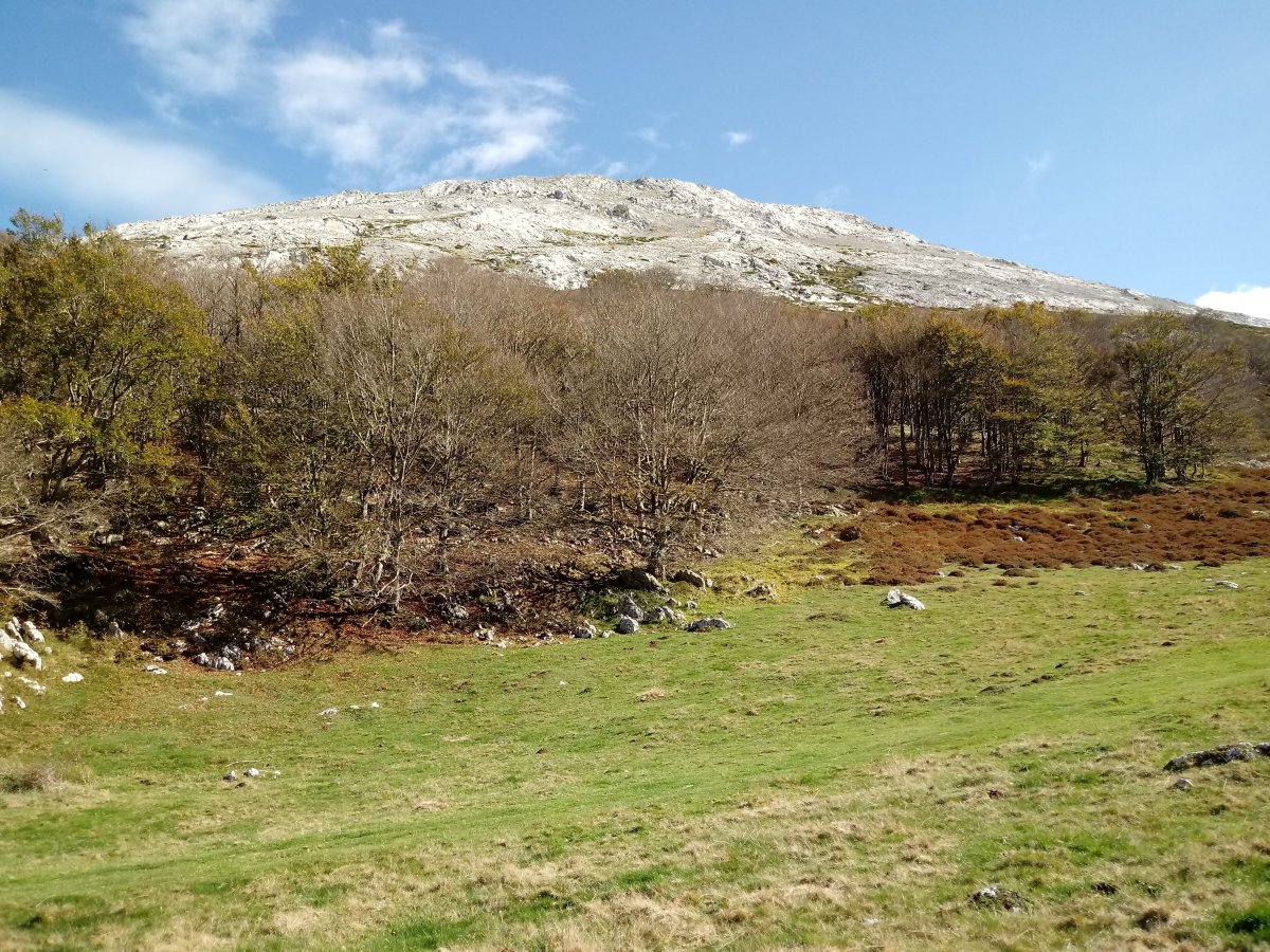 Aratz mendia (1445m) Azkasaroitik