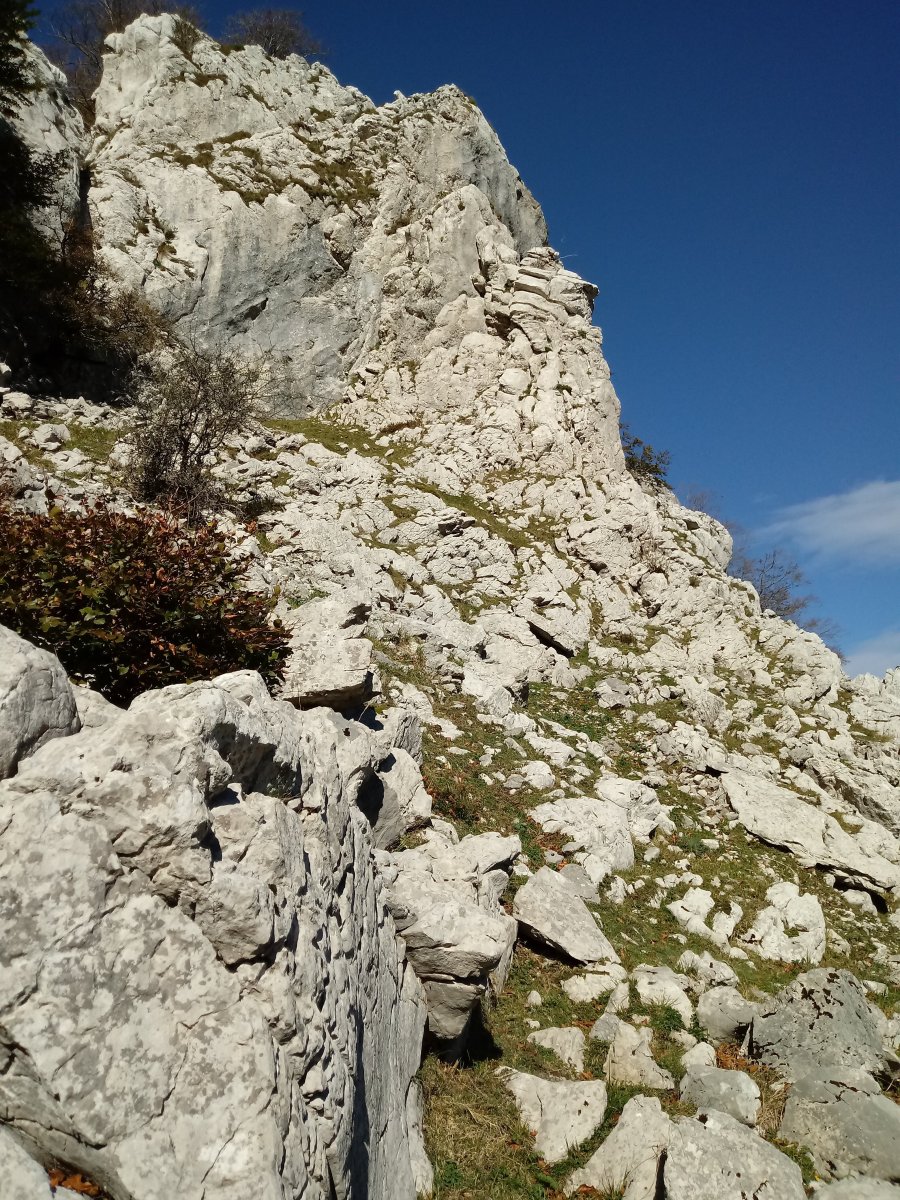 Sandratiko Begiratokia