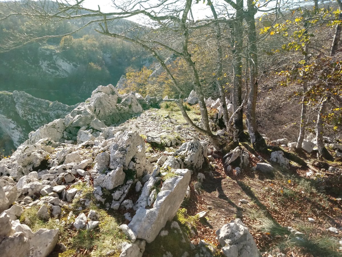 Sandratiko Begiratokia 2