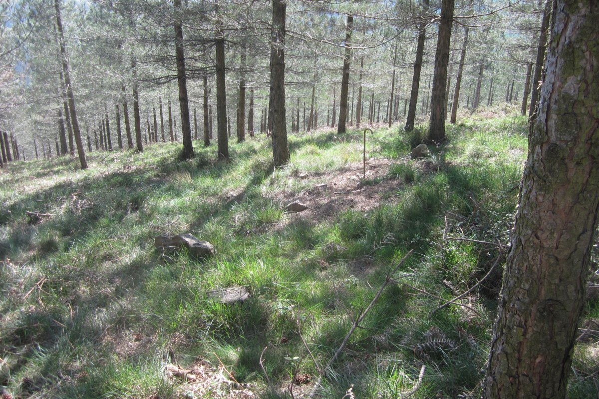 Túmulo Ariznabarreta  (04-2017)