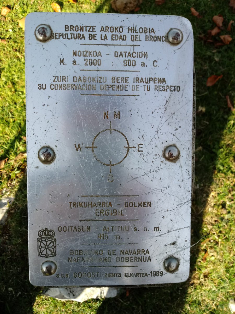 Ergibil trikuharria (2017)