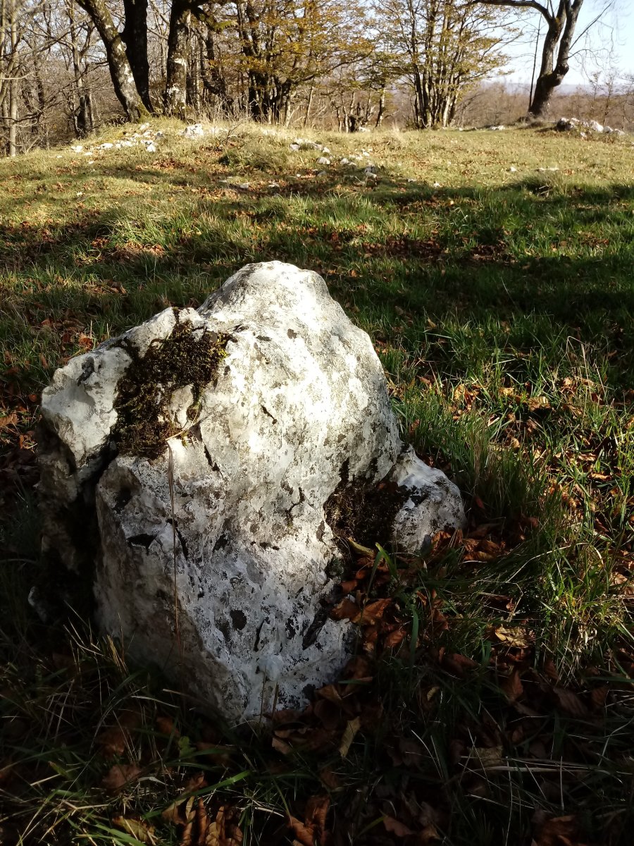 Gainsoil zutarria (2017)