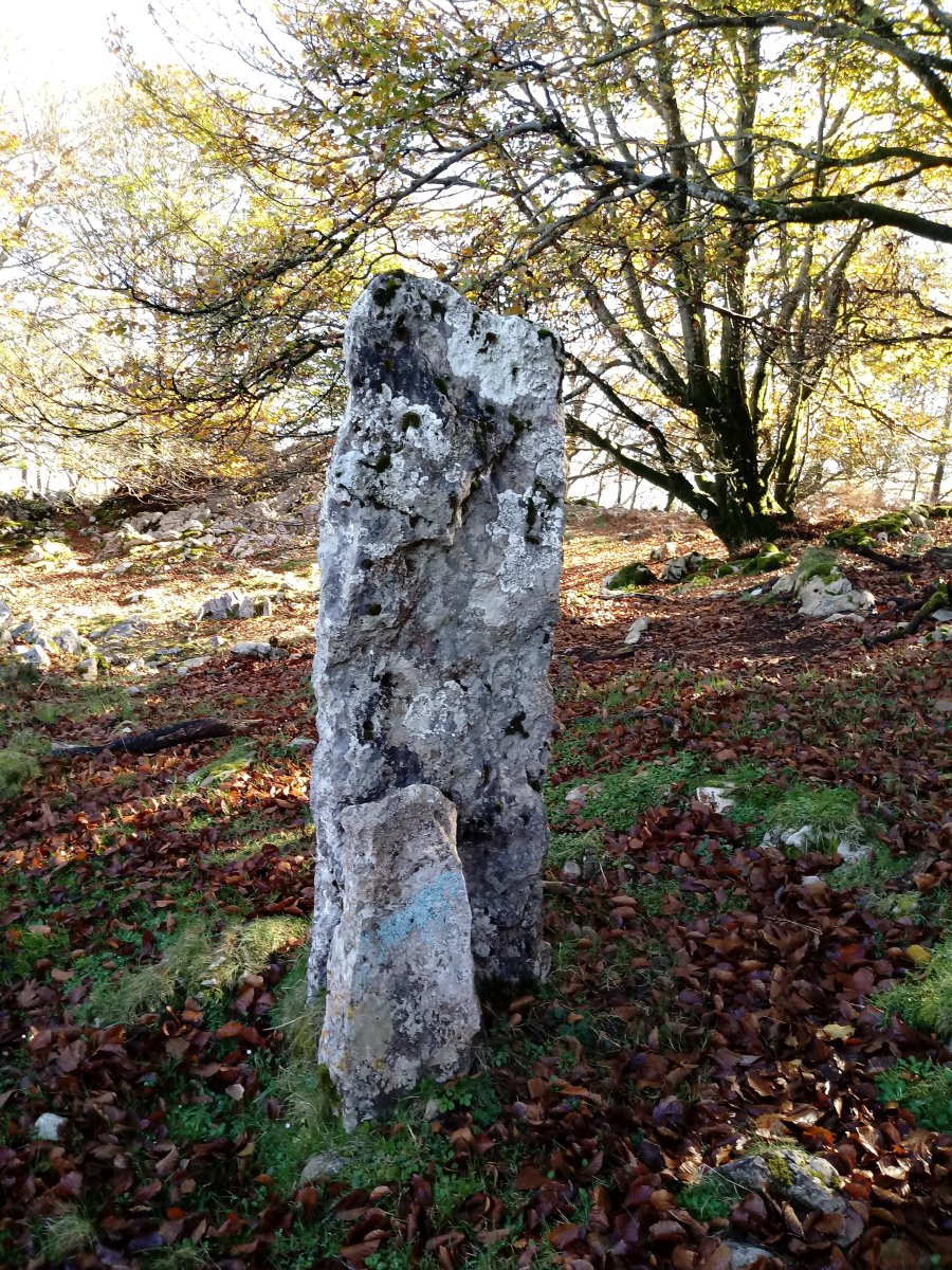 Arrietabaso zutarria 2