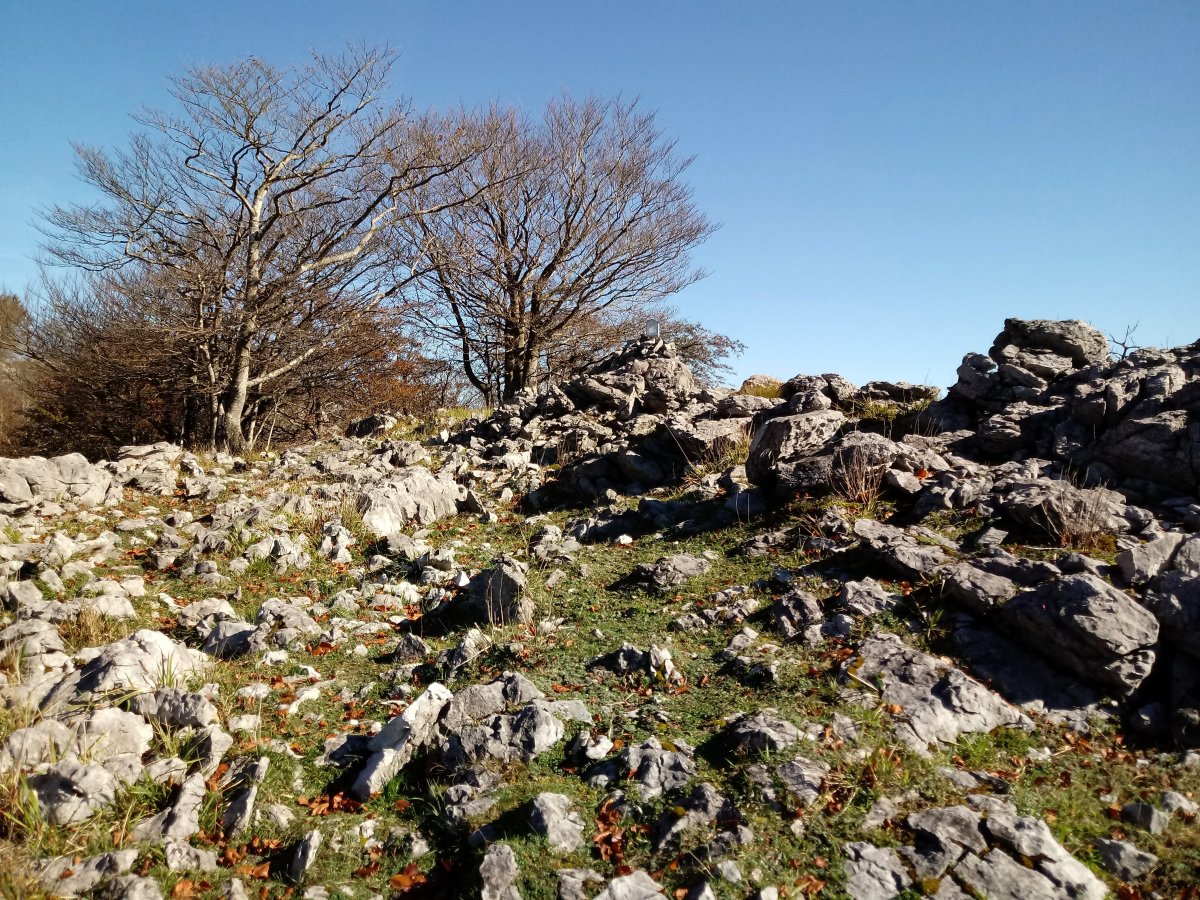 Neberazarra (982m) tontorra