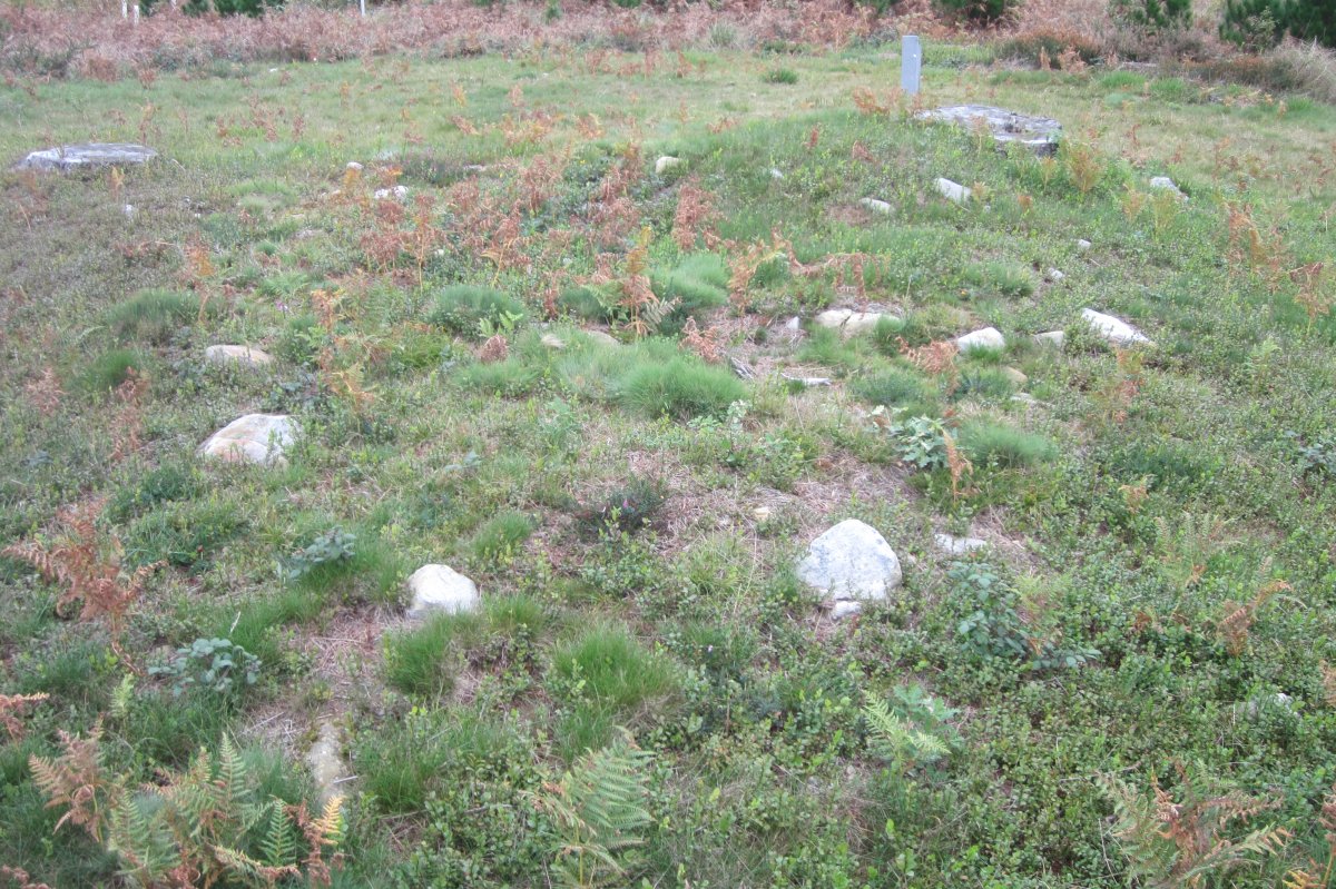 Túmulo Ipinarrieta (Noviembre 2017)