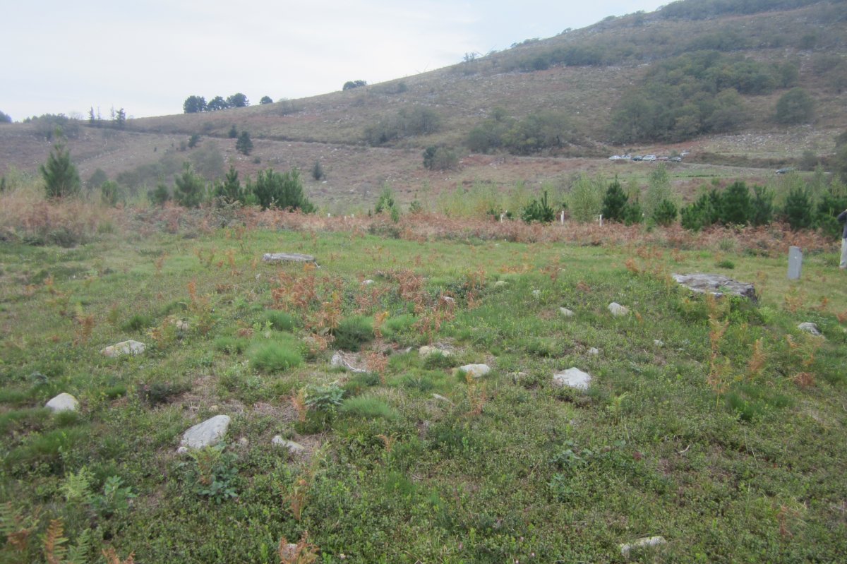 Túmulo Ipinarrieta (Noviembre 2017)