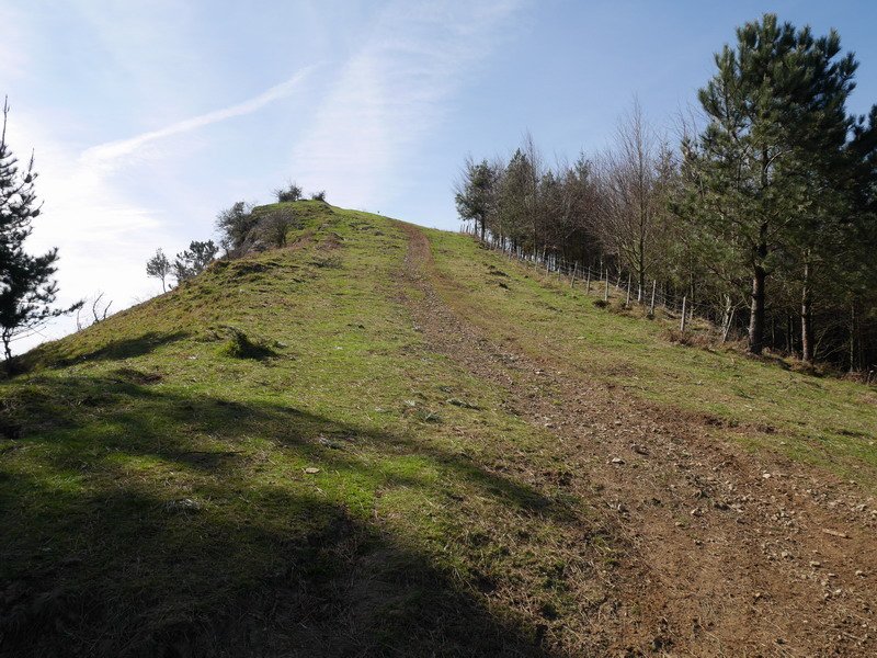 Ipar-ekialdeko hegia