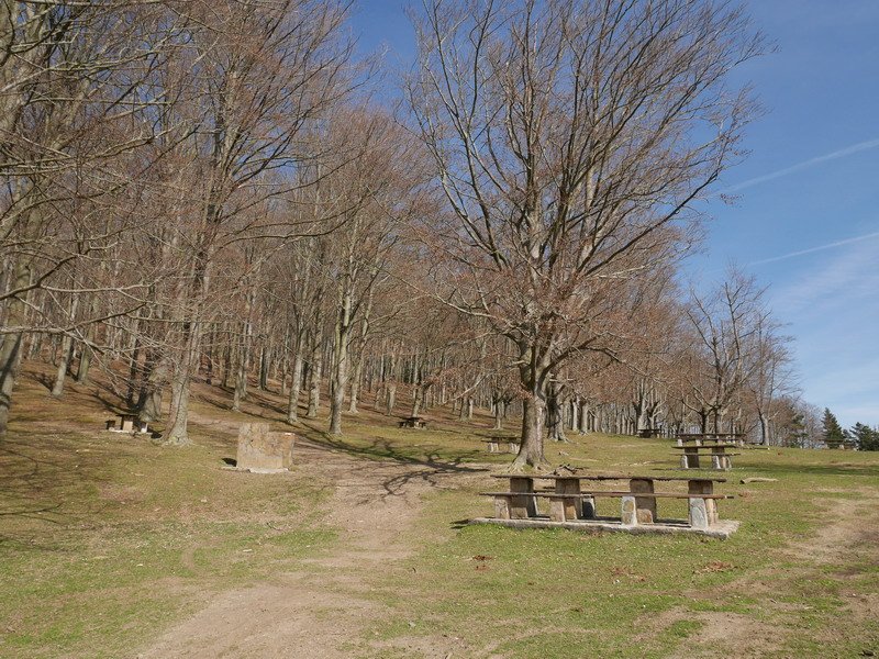 Upoko pagadia atsedenlekua