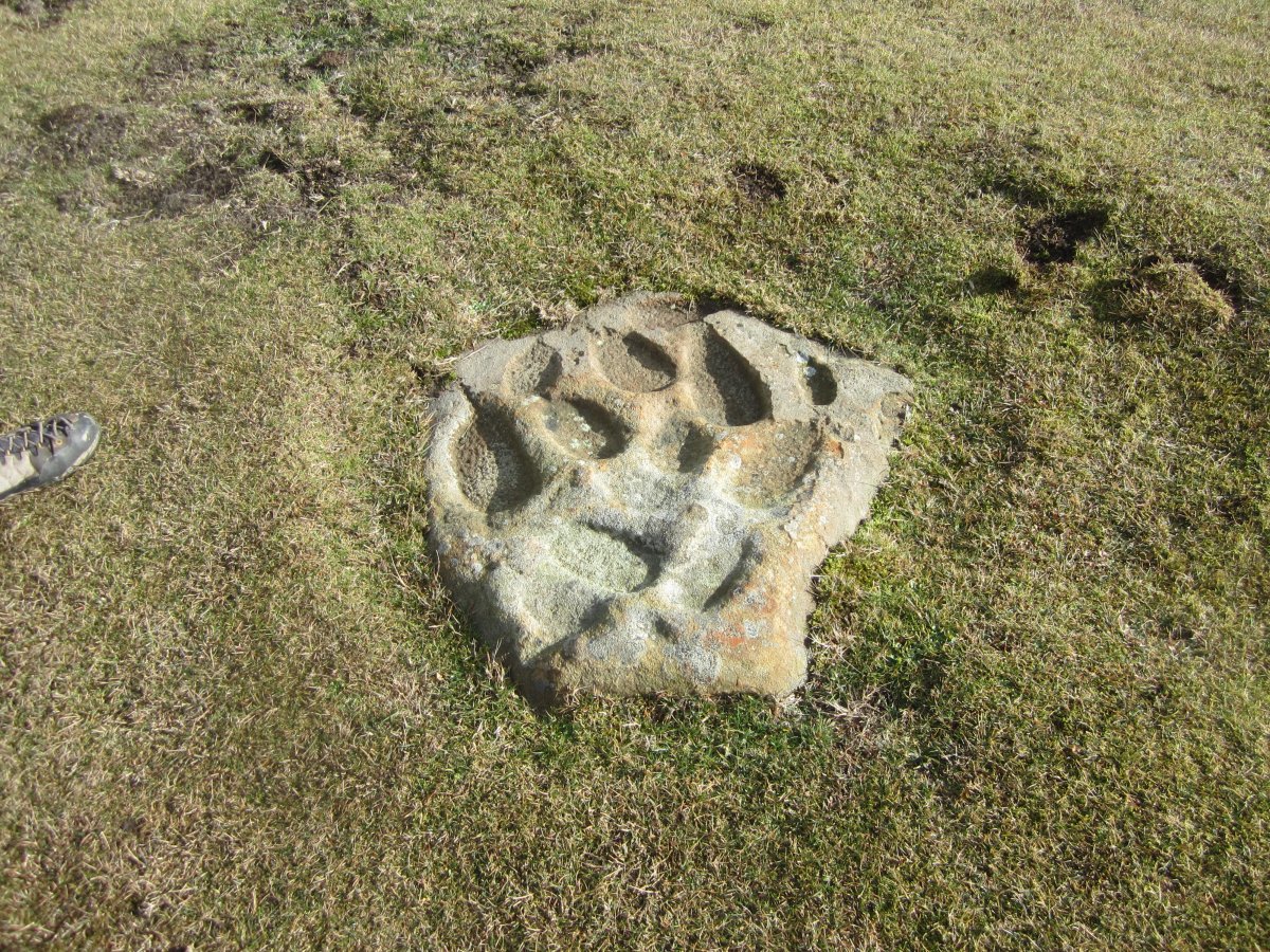 Petroglifo Zelaibizkar 1  (Diciembre 2016)