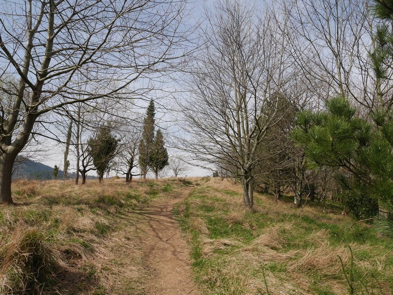 Ekialdeko bizkarreko bidea