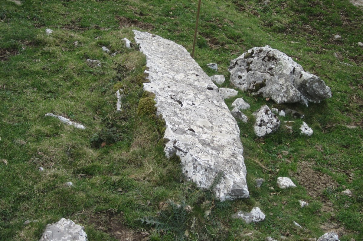 Monolito Arbelar   (Noviembre 2017)