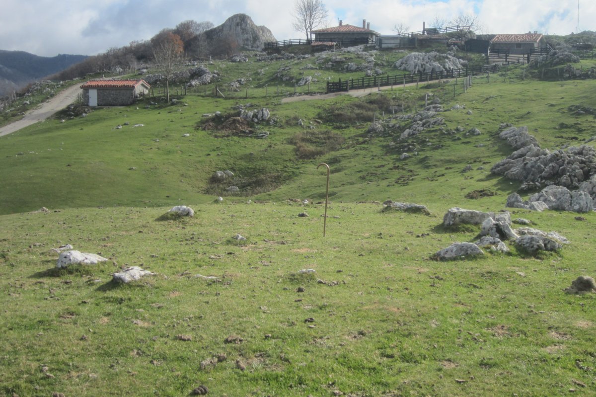 Círculo Bolaleku  (Noviembre 2017)