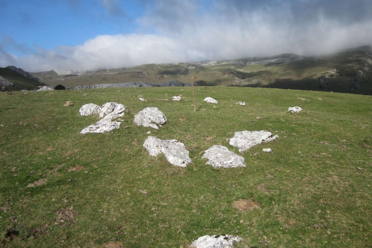Círculo Bolaleku  (Noviembre 2017)