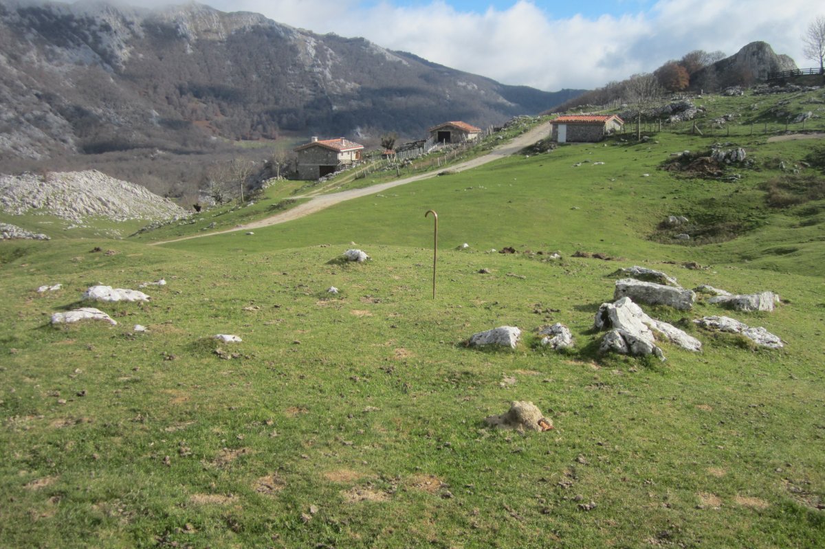 Círculo Bolaleku (Noviembre 2017)